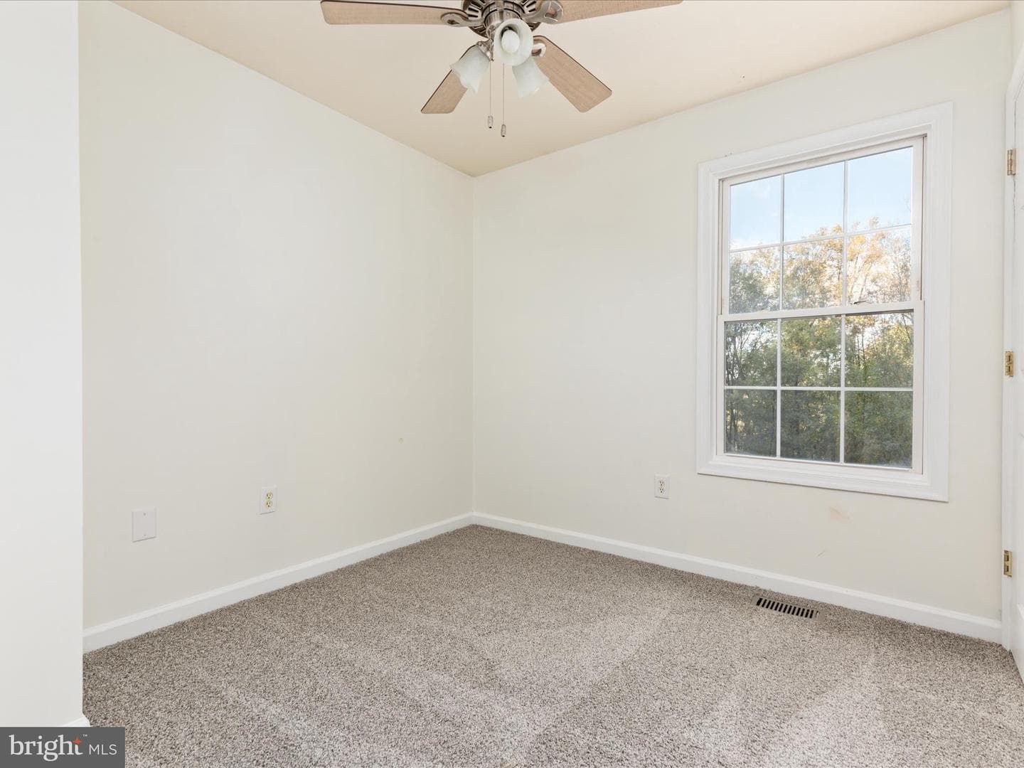 284 Tulip Poplar Drive photo 11
