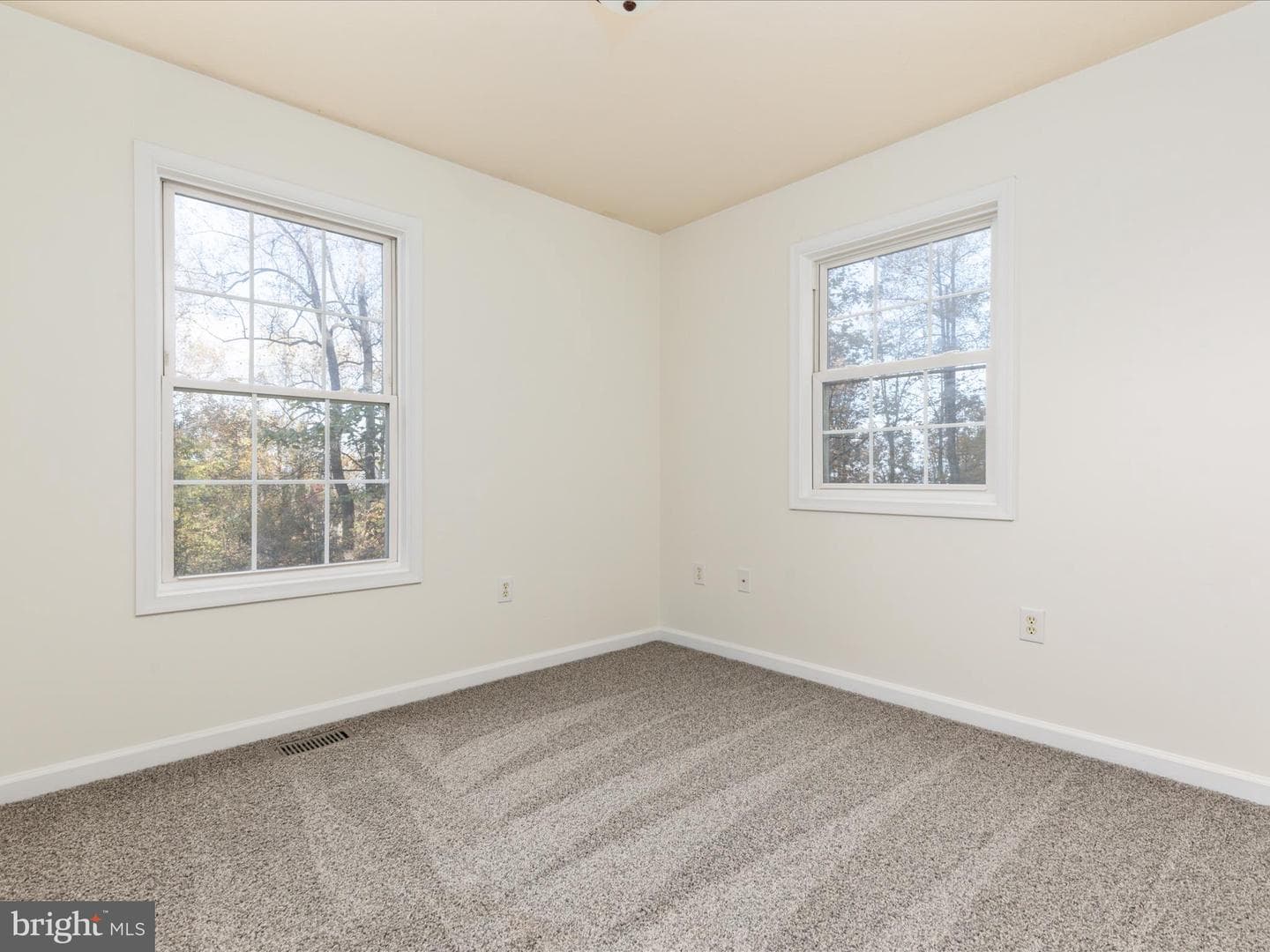 284 Tulip Poplar Drive photo 12