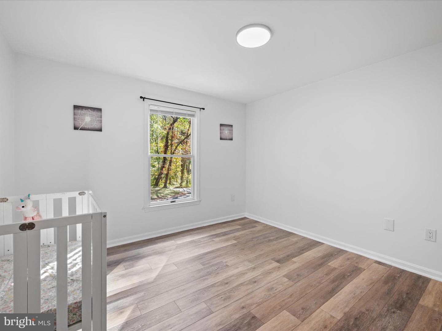 60 High Knob Court photo 17