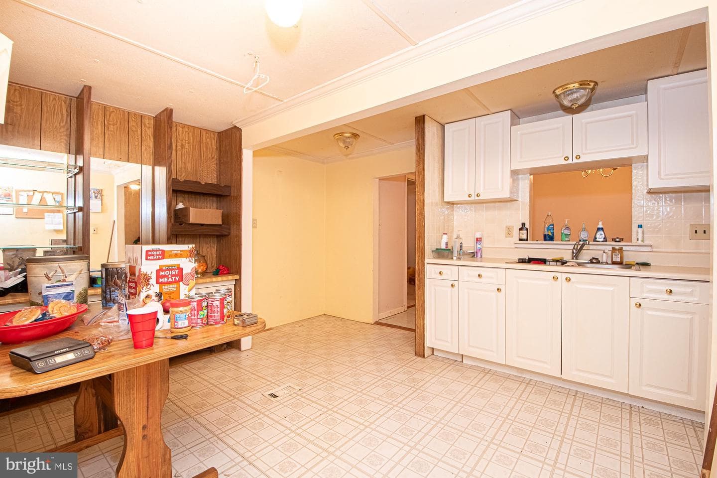 560 Youngs Drive photo 10
