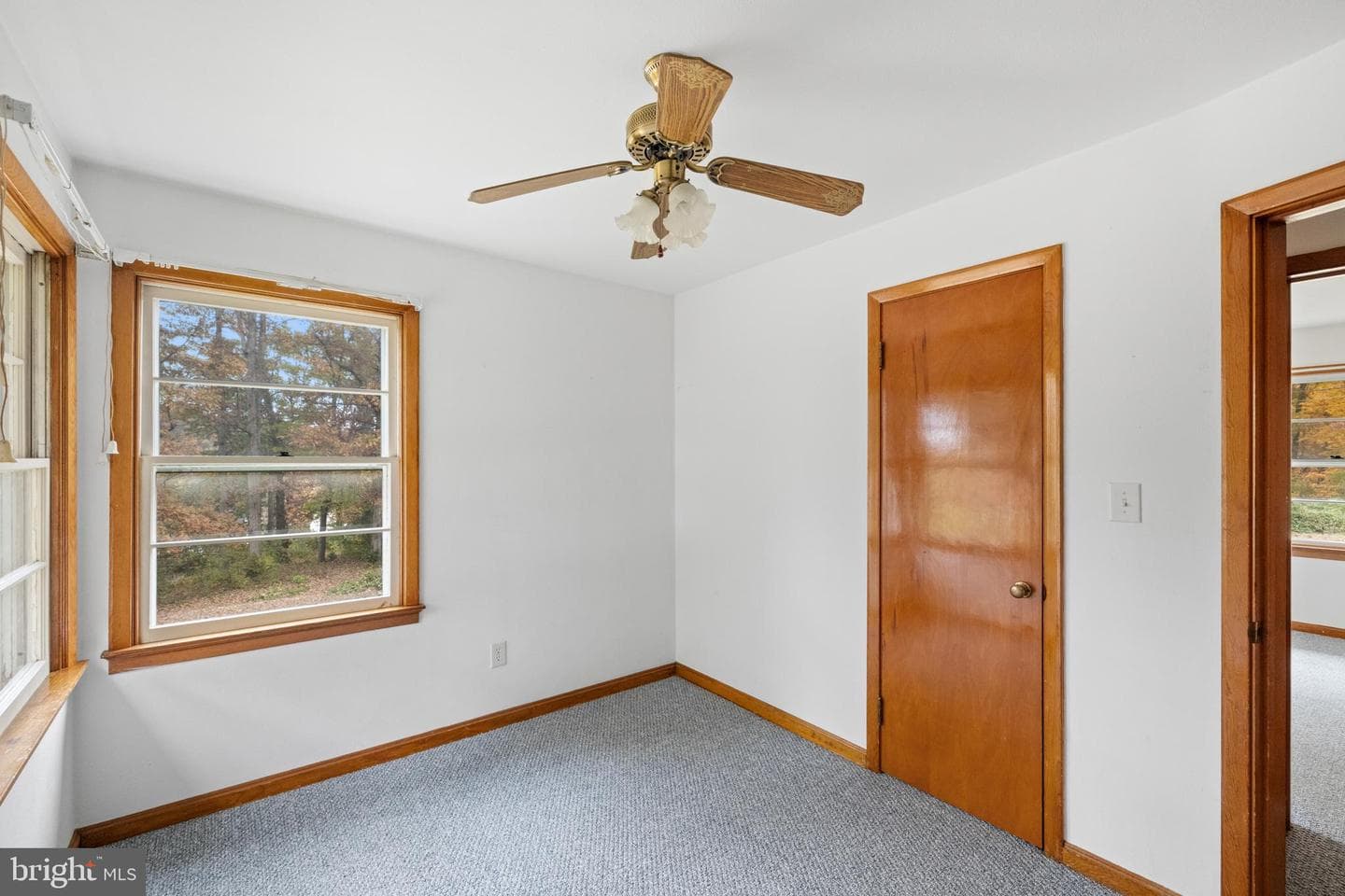 203 Jenny Wren Drive photo 18