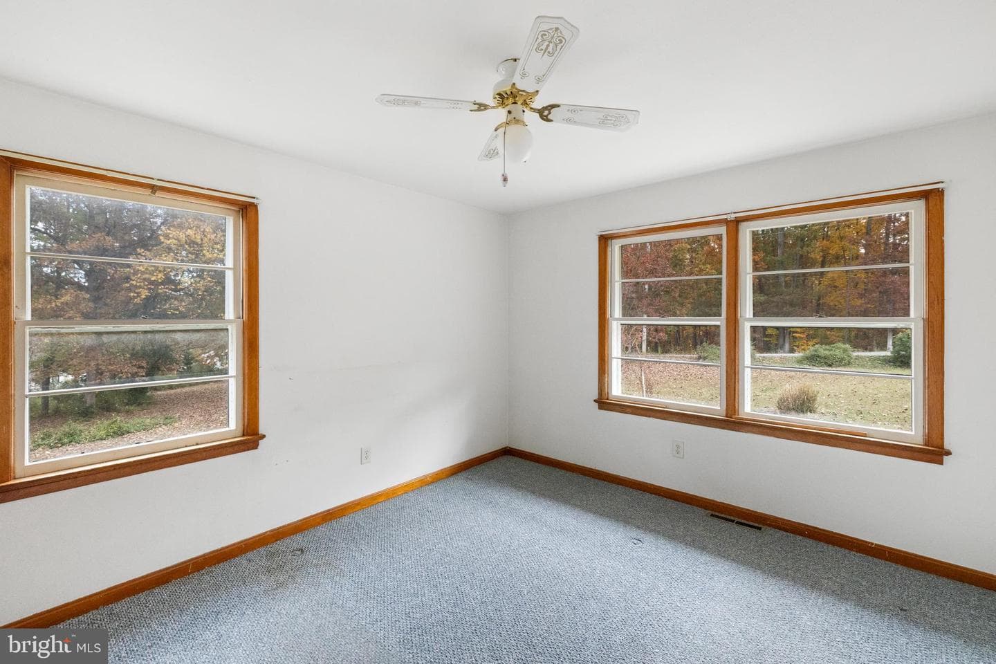 203 Jenny Wren Drive photo 20