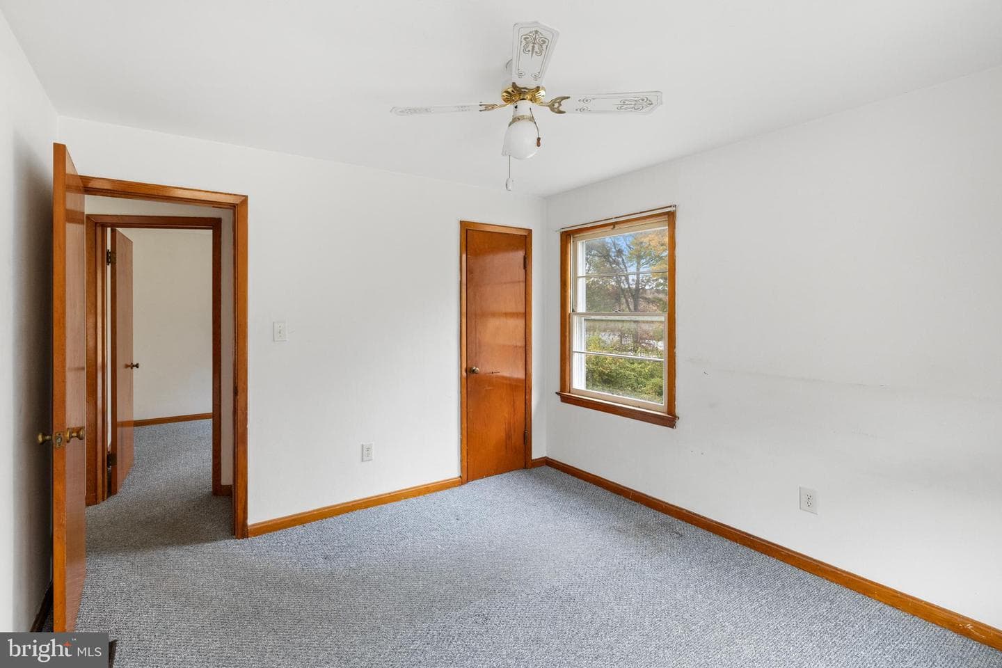 203 Jenny Wren Drive photo 22