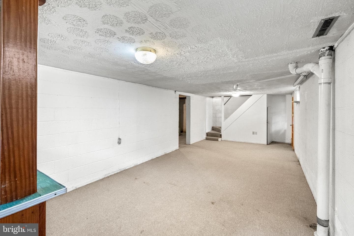 203 Jenny Wren Drive photo 25
