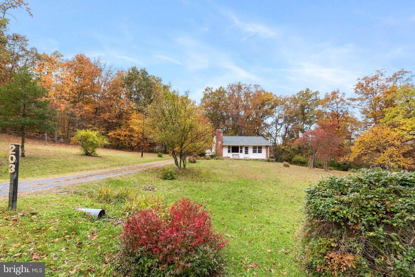 203 Jenny Wren Drive photo 34