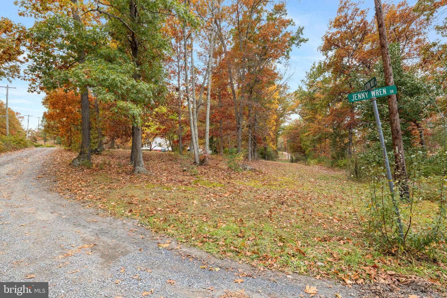 203 Jenny Wren Drive photo 35