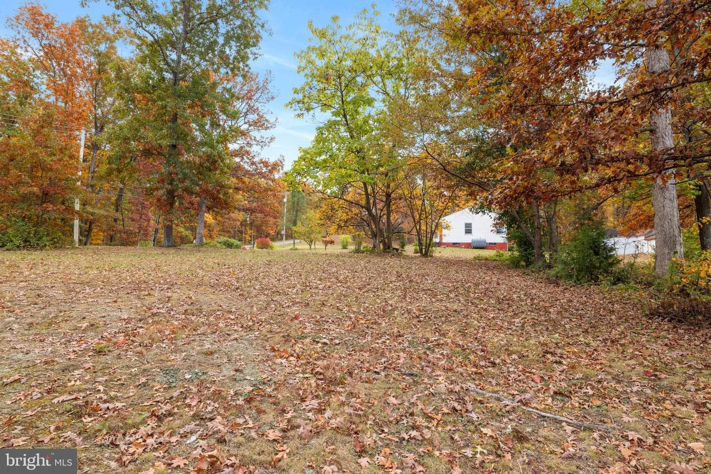 203 Jenny Wren Drive photo 36