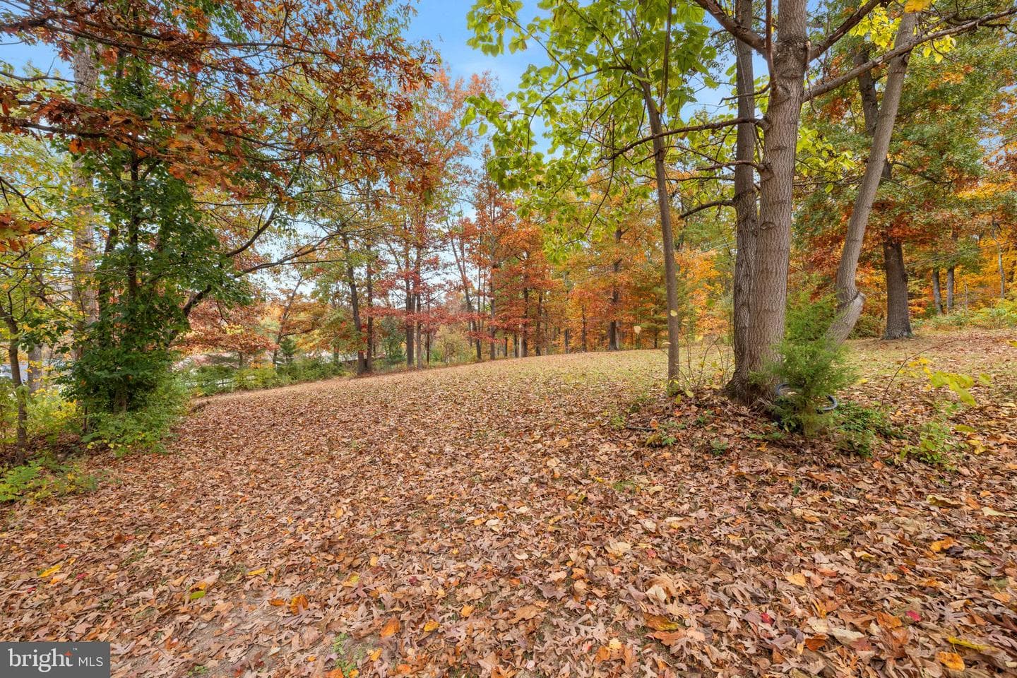 203 Jenny Wren Drive photo 37
