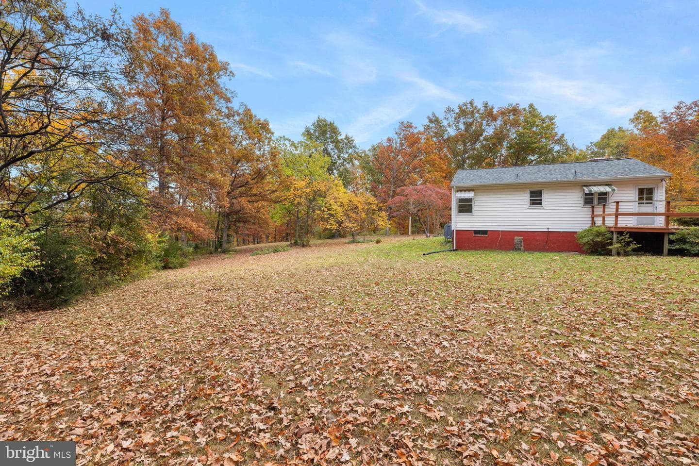 203 Jenny Wren Drive photo 38