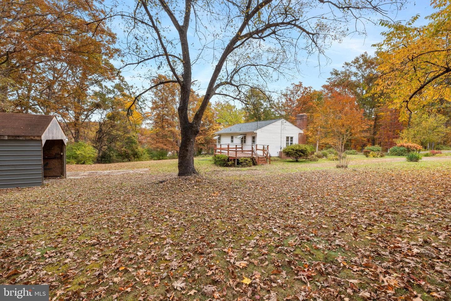 203 Jenny Wren Drive photo 39
