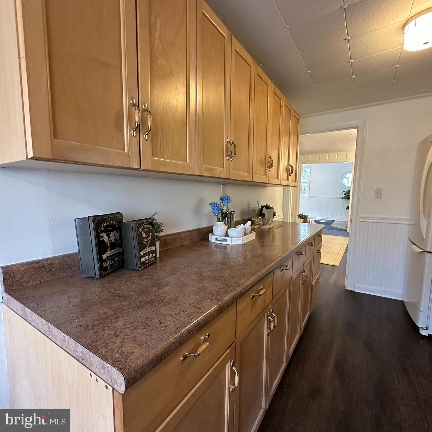 572 Bifrost Way photo 20