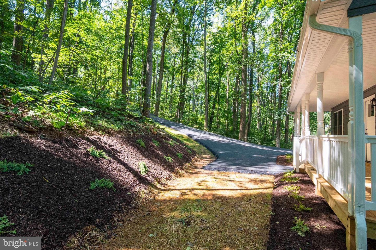 111 Bloodroot Road photo 11