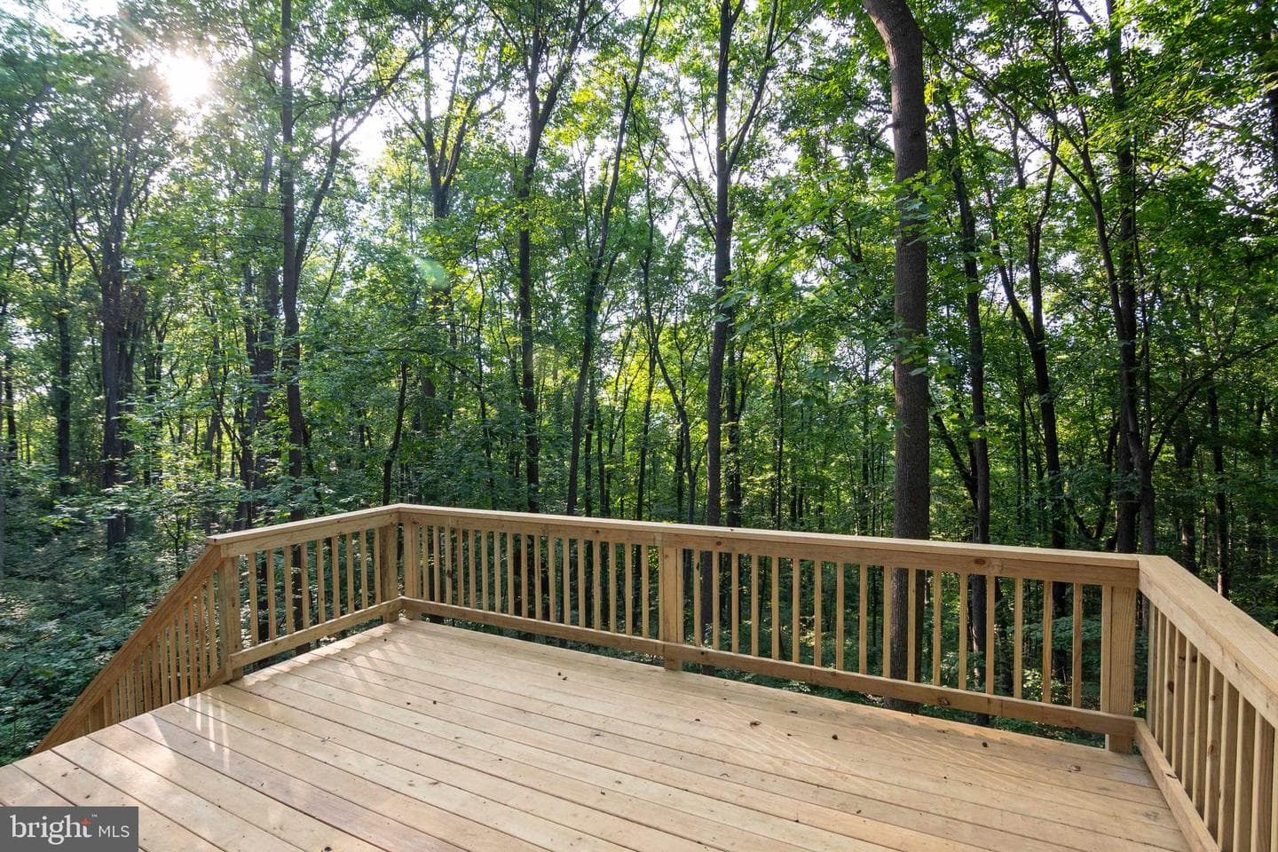 111 Bloodroot Road photo 23