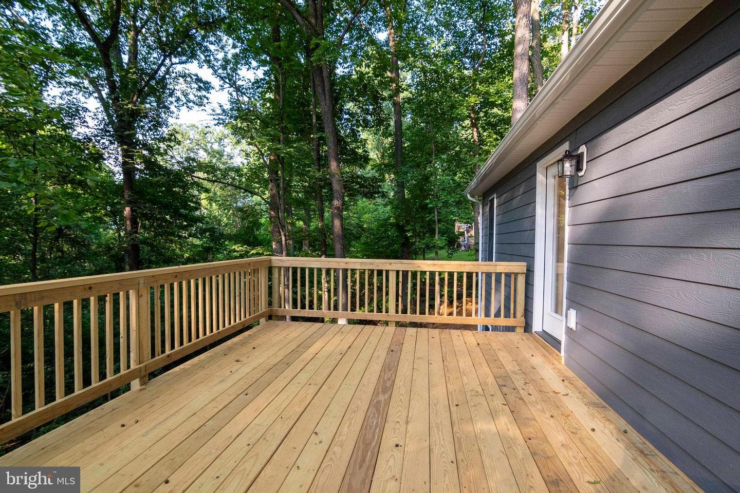 111 Bloodroot Road photo 28