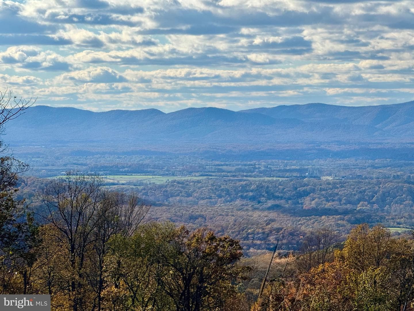 233 Lee Drive photo 8