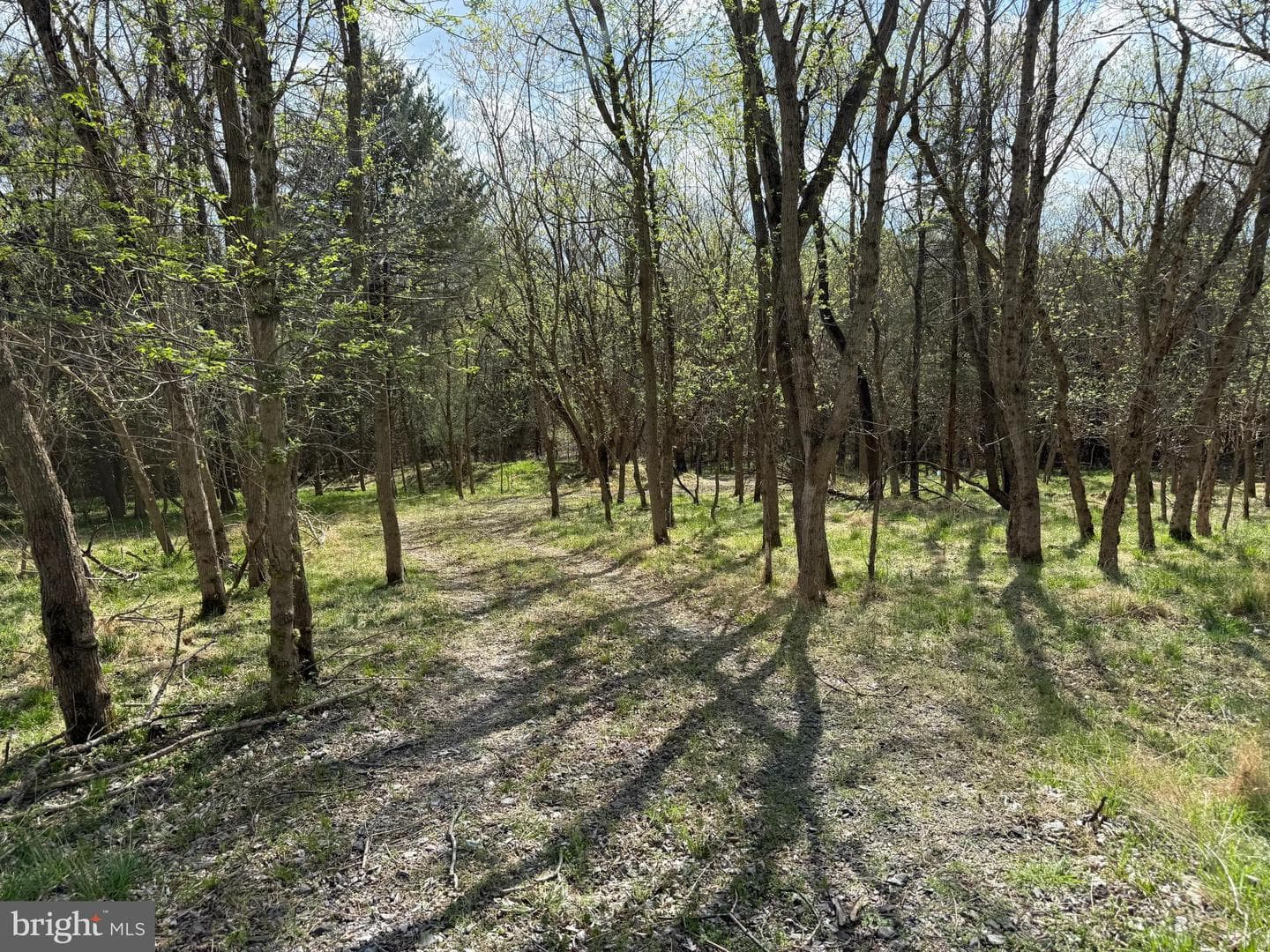 1778 T Bird Drive photo 17
