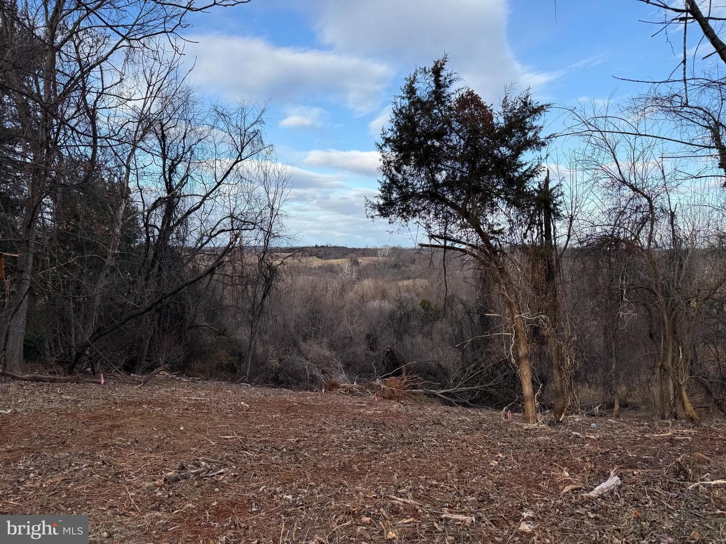Lot 3d Northview Avenue photo 50