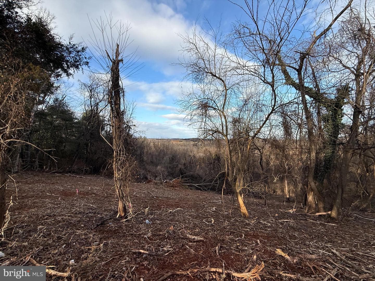 Lot 3d Northview Avenue photo 52
