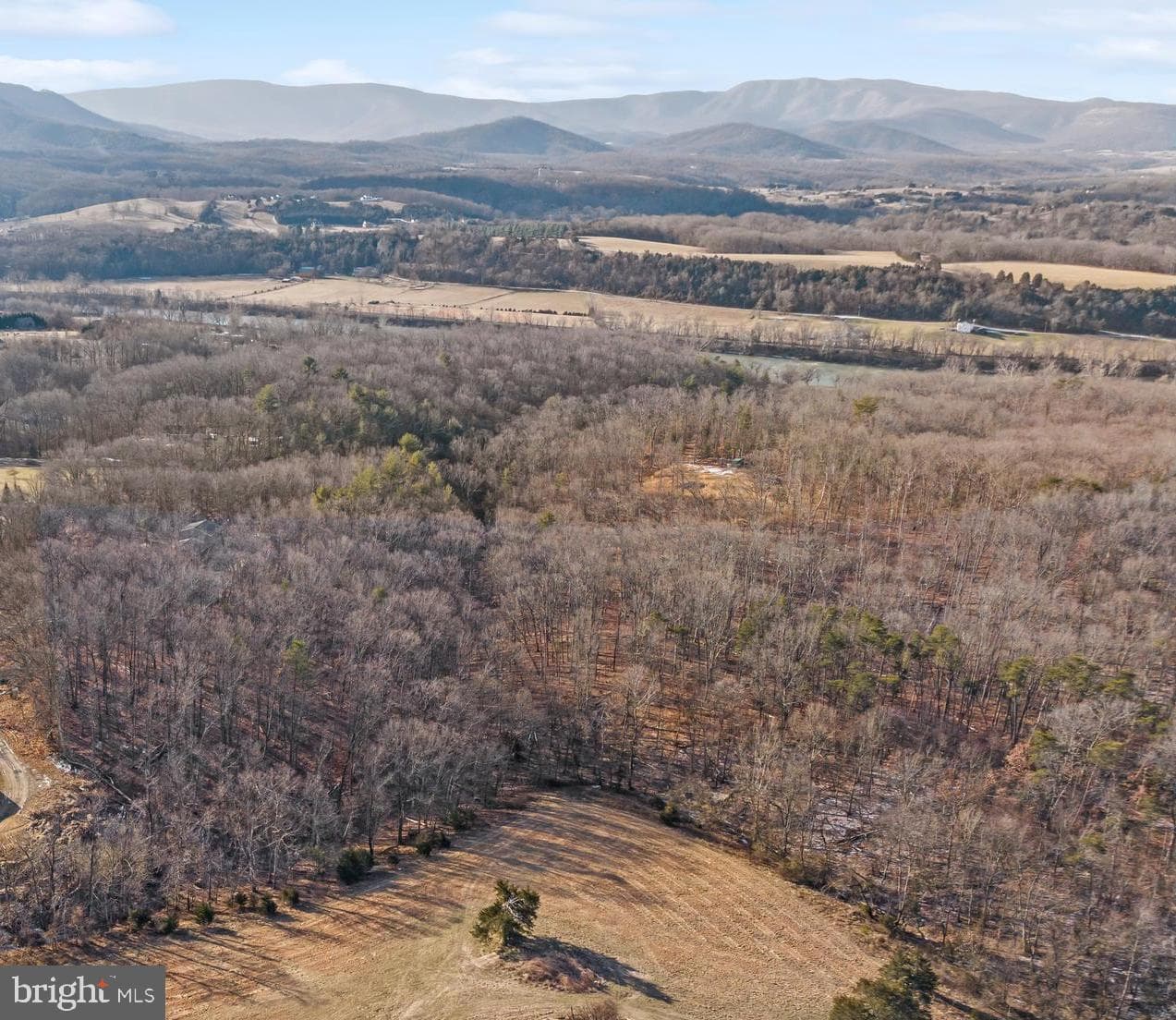 204 Russ Johnson Road photo 14