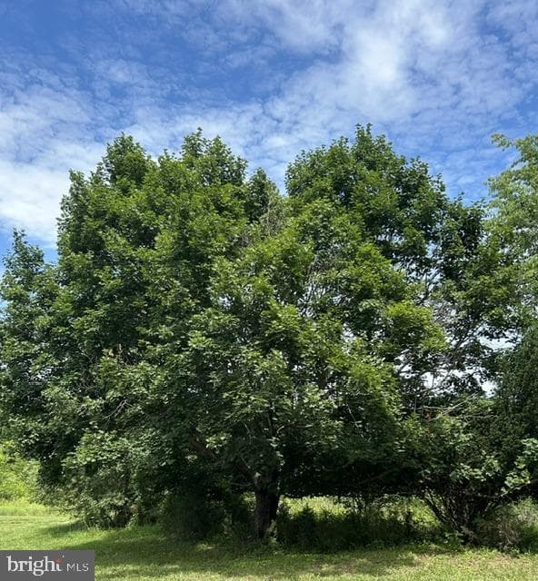 7525 Stonewall Jackson Highway photo 61