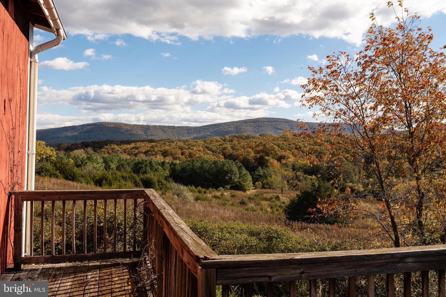 461 Thunderbird Road photo 10