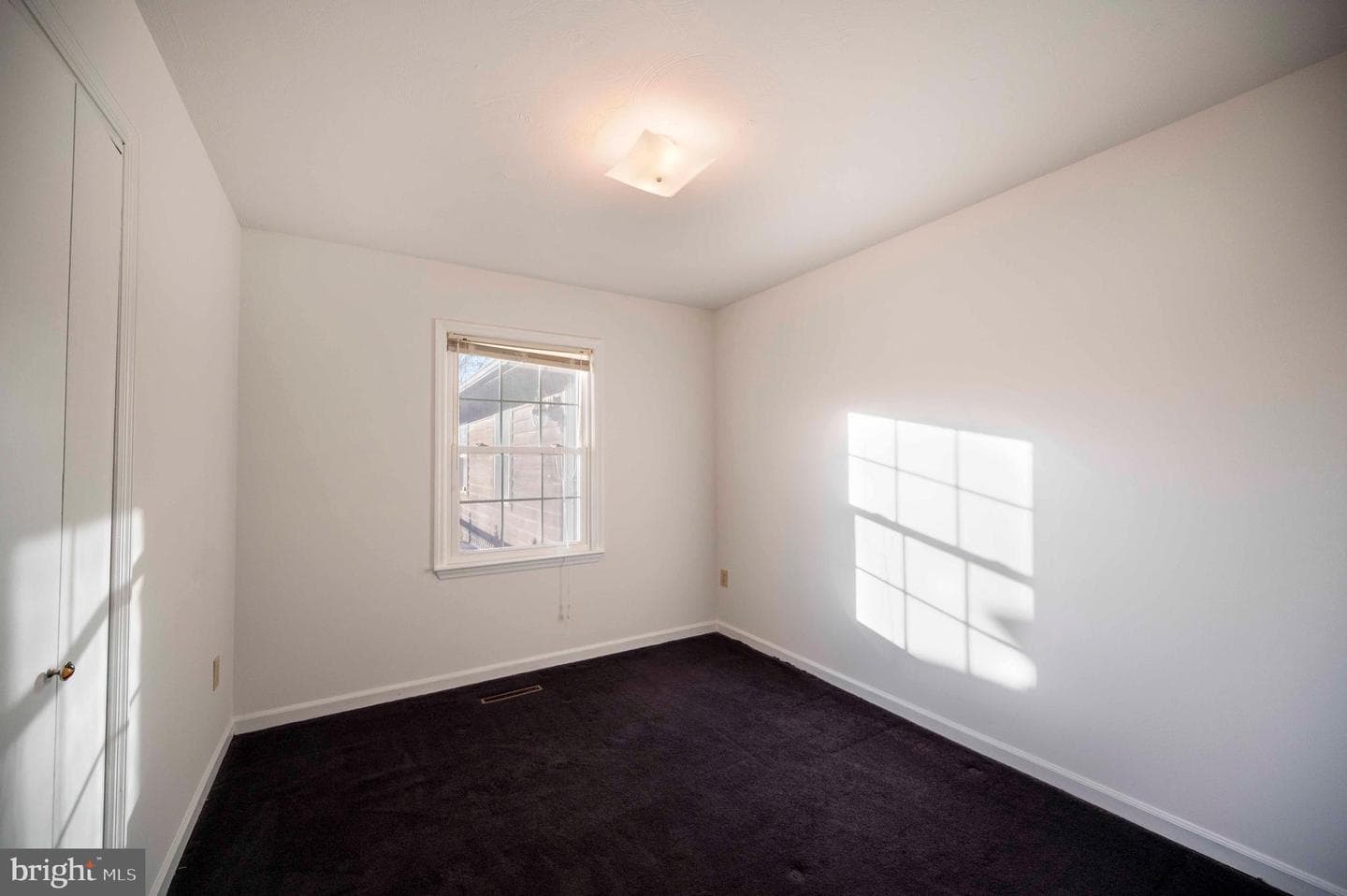 487 Skyline Forest Drive photo 48