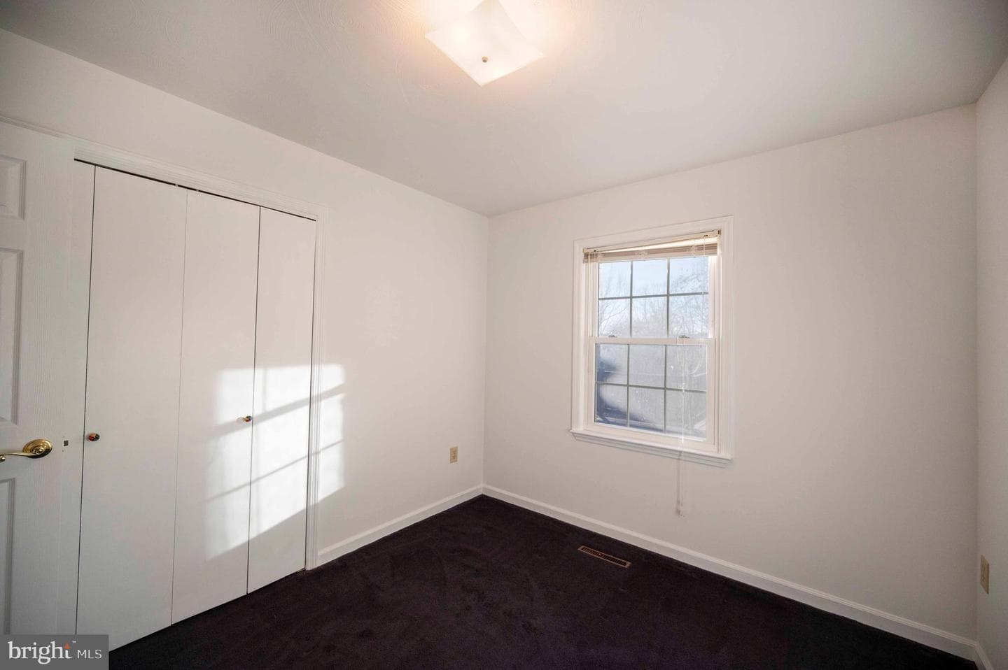 487 Skyline Forest Drive photo 50
