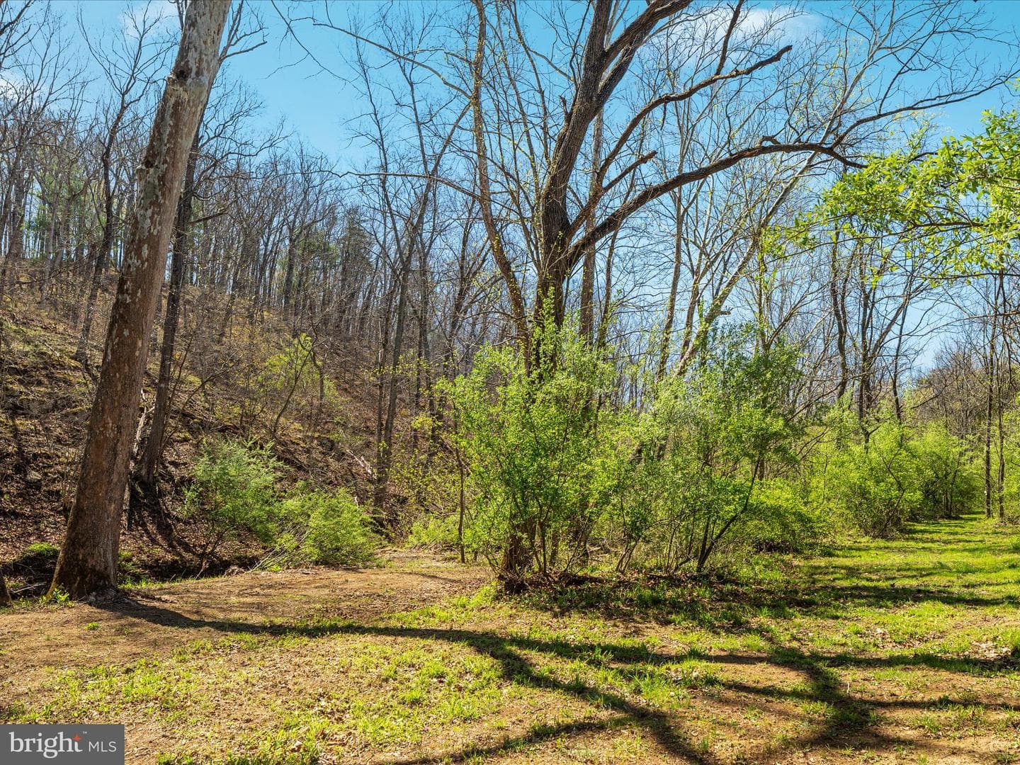 92 Oak Hill Court photo 39