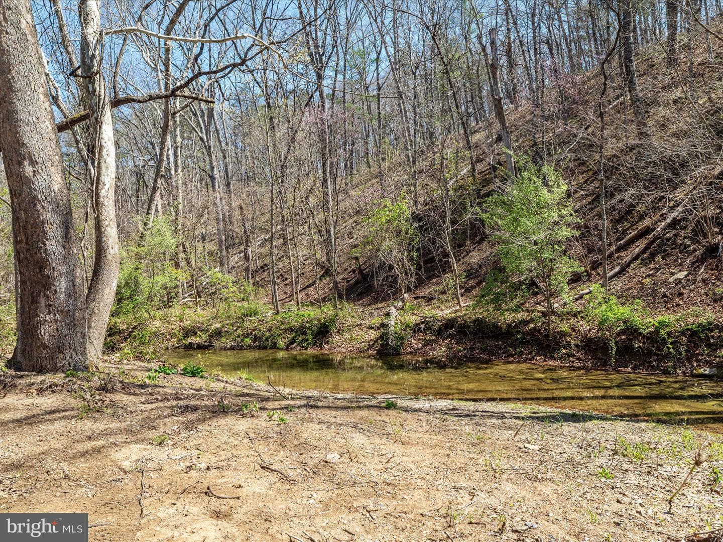 92 Oak Hill Court photo 40