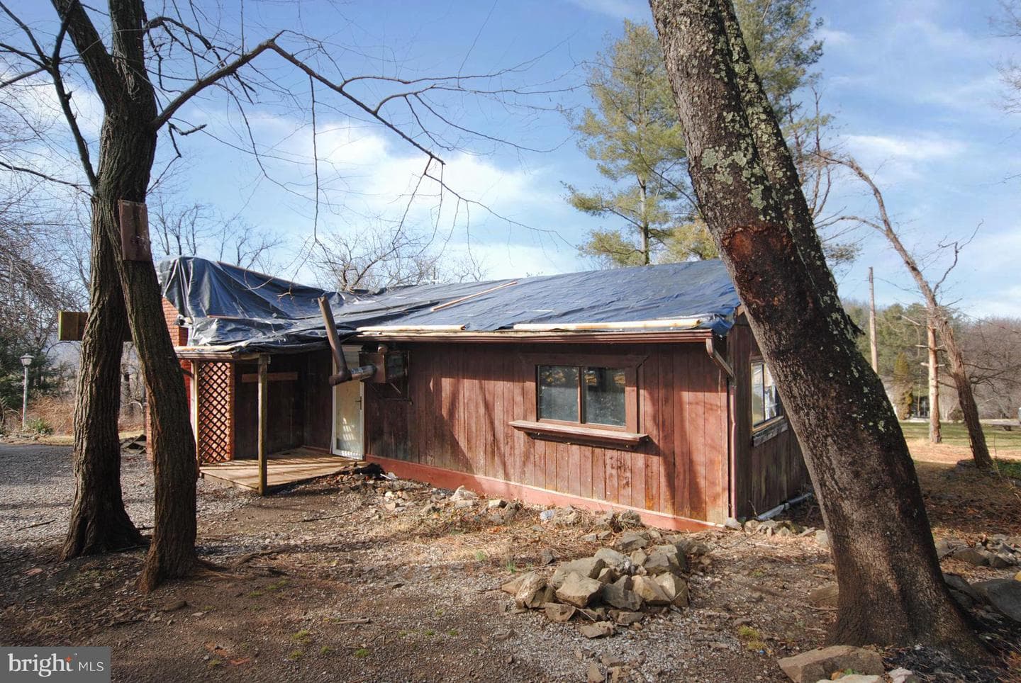 411 Cardinal Drive photo 16