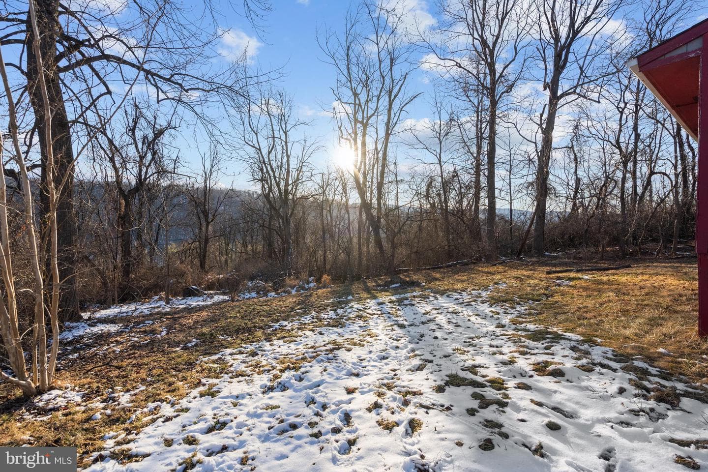 174 Bluebird Way photo 8