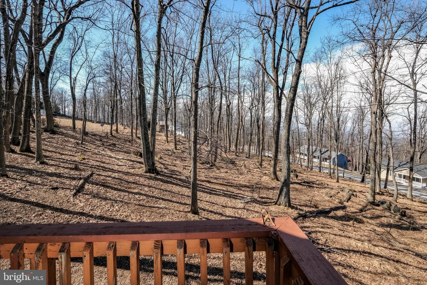 59 Alpine Drive photo 17