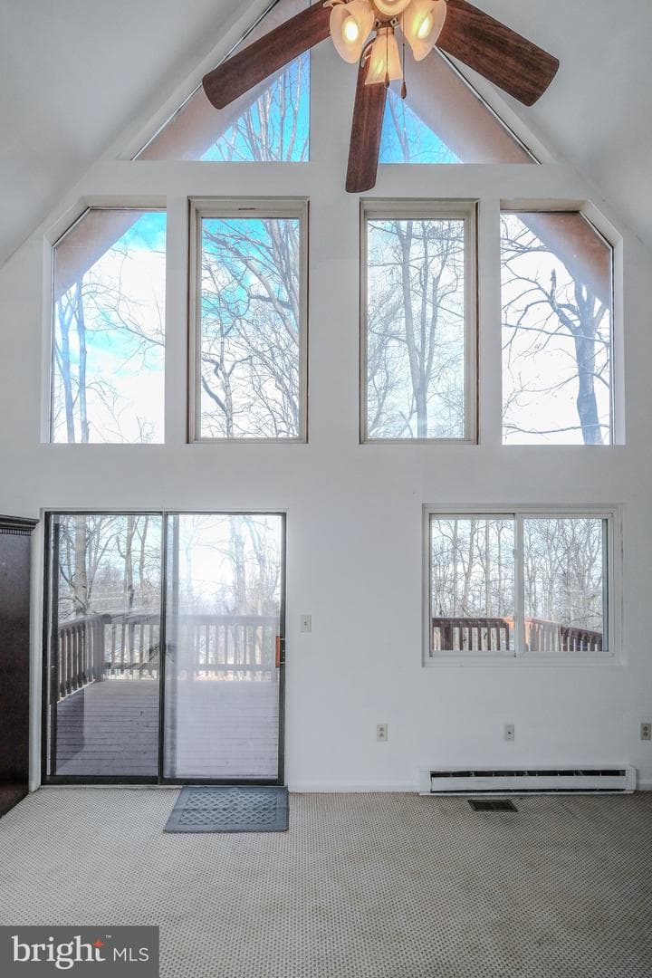59 Alpine Drive photo 18