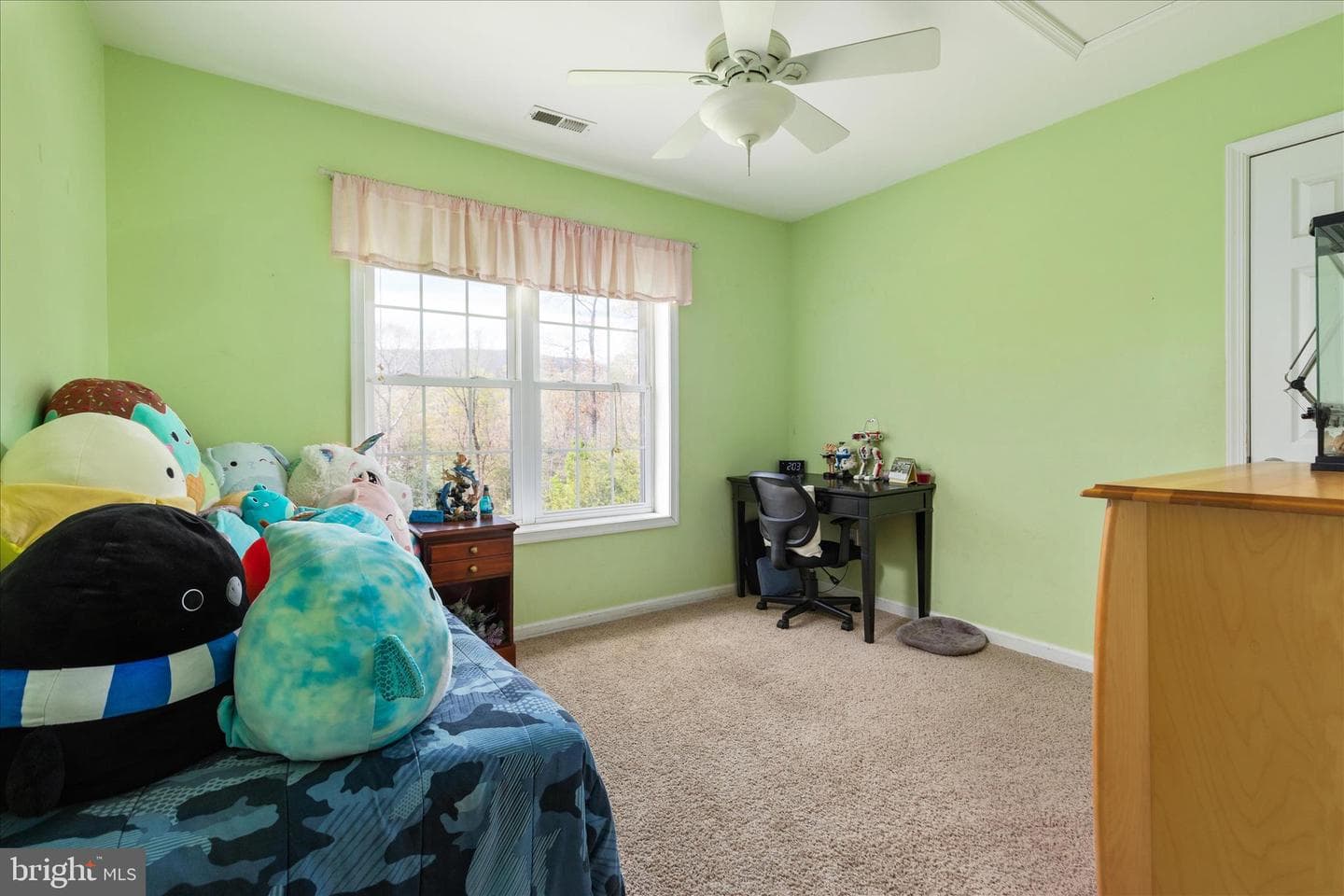 27 Cheyenne Lane photo 25