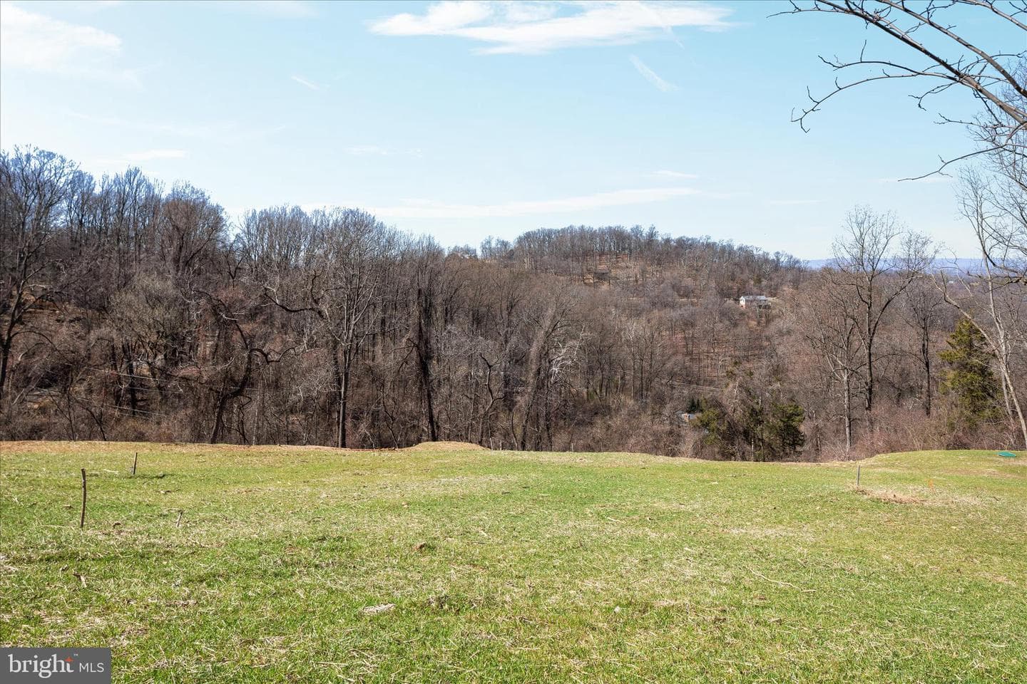 347 Riley Ct photo 42