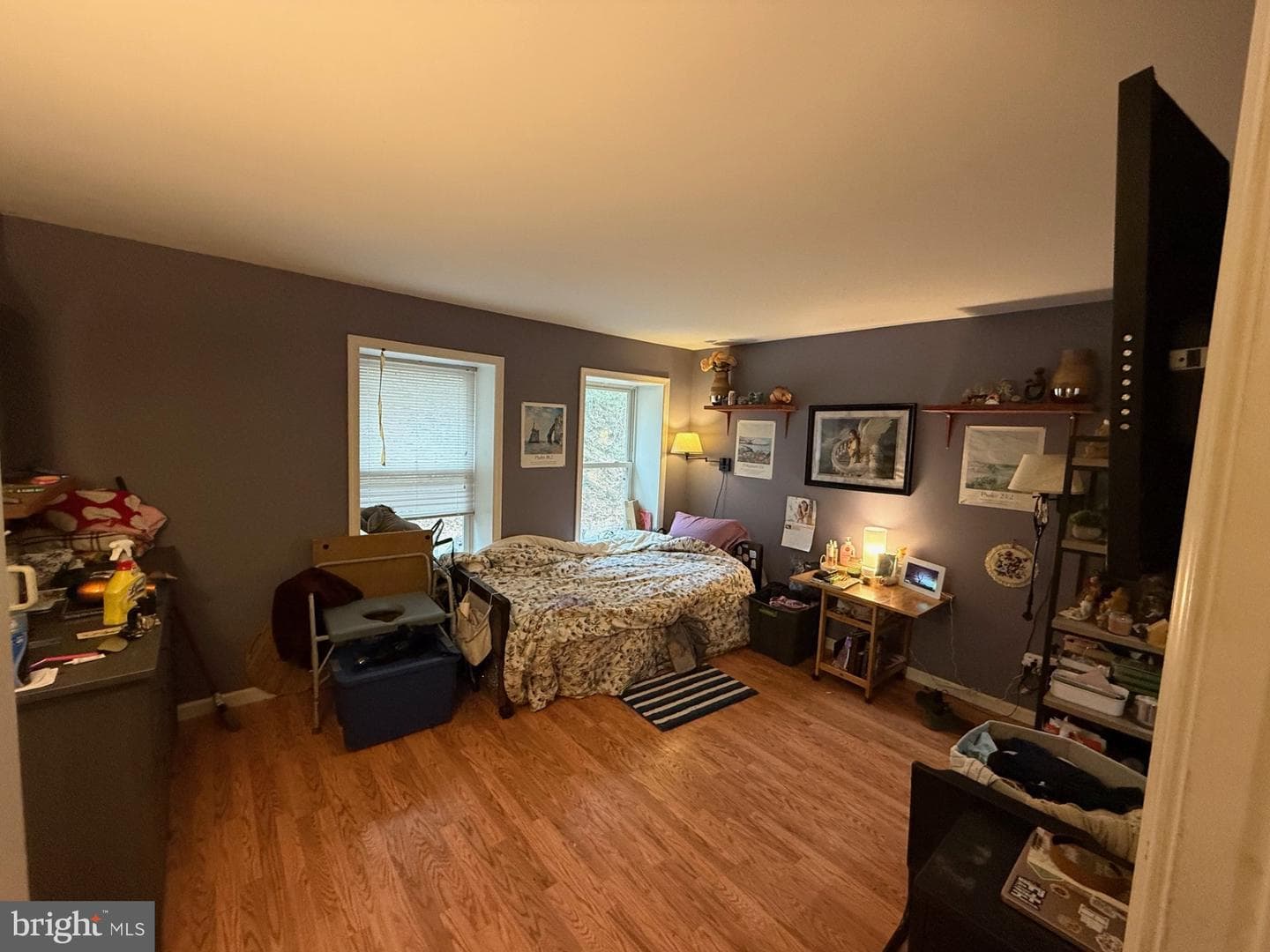 521 Northern Spy Drive photo 12