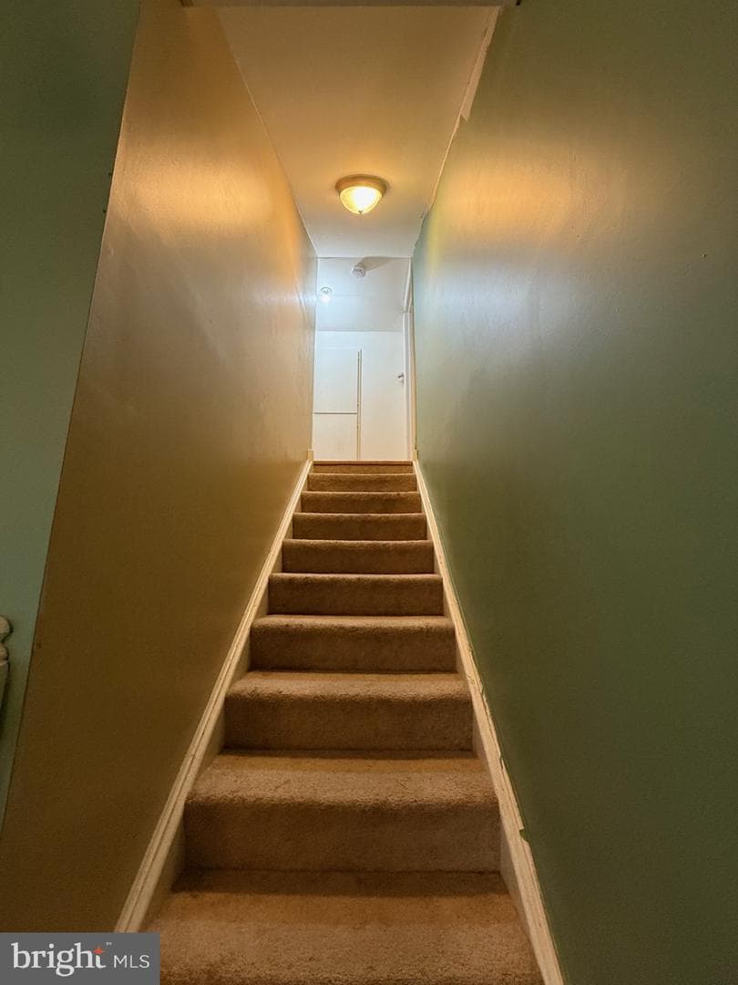 521 Northern Spy Drive photo 16