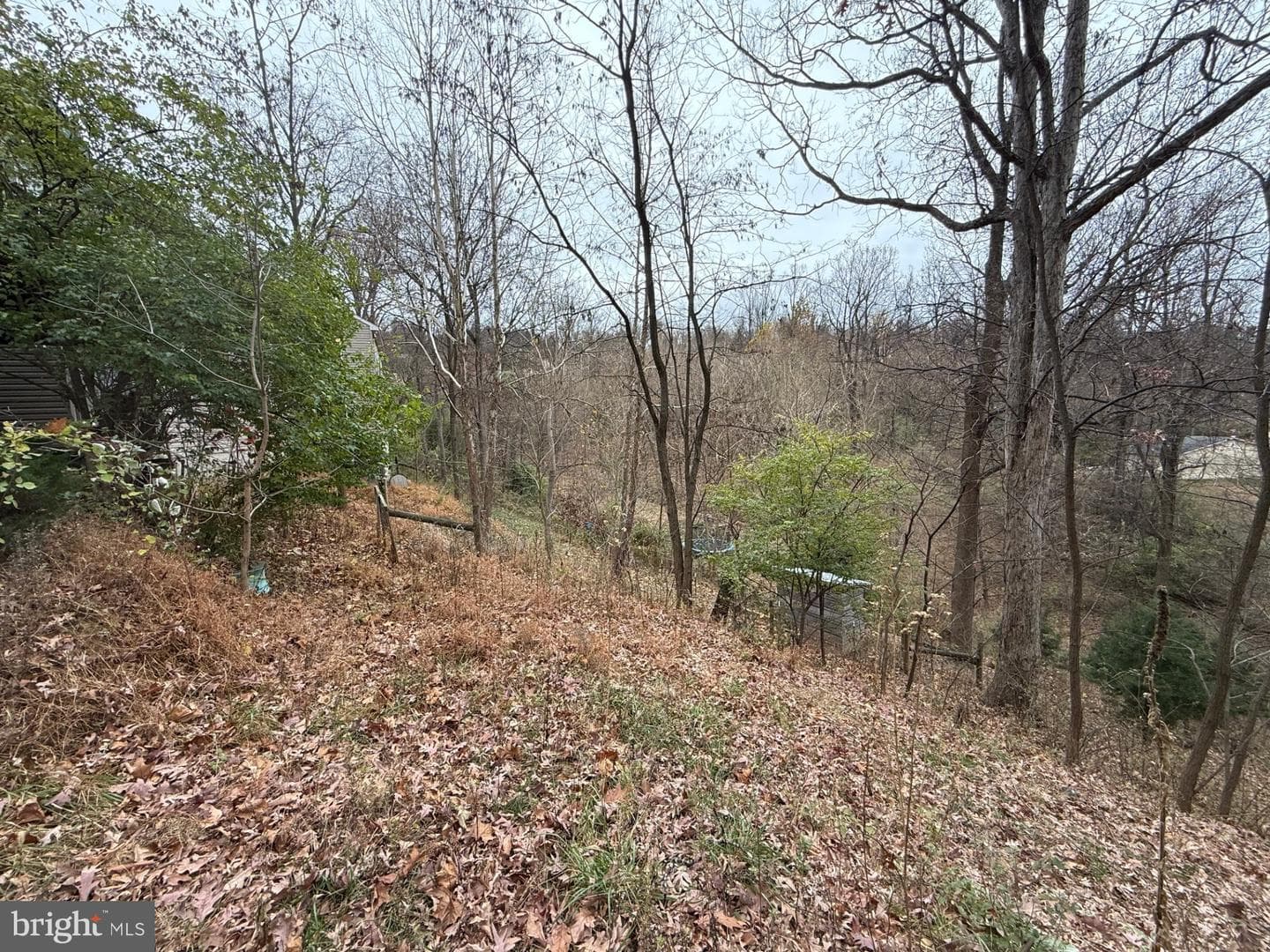 521 Northern Spy Drive photo 26