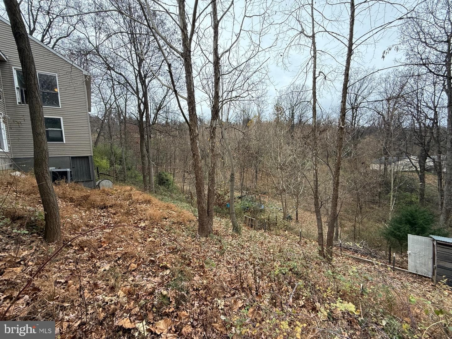 521 Northern Spy Drive photo 27