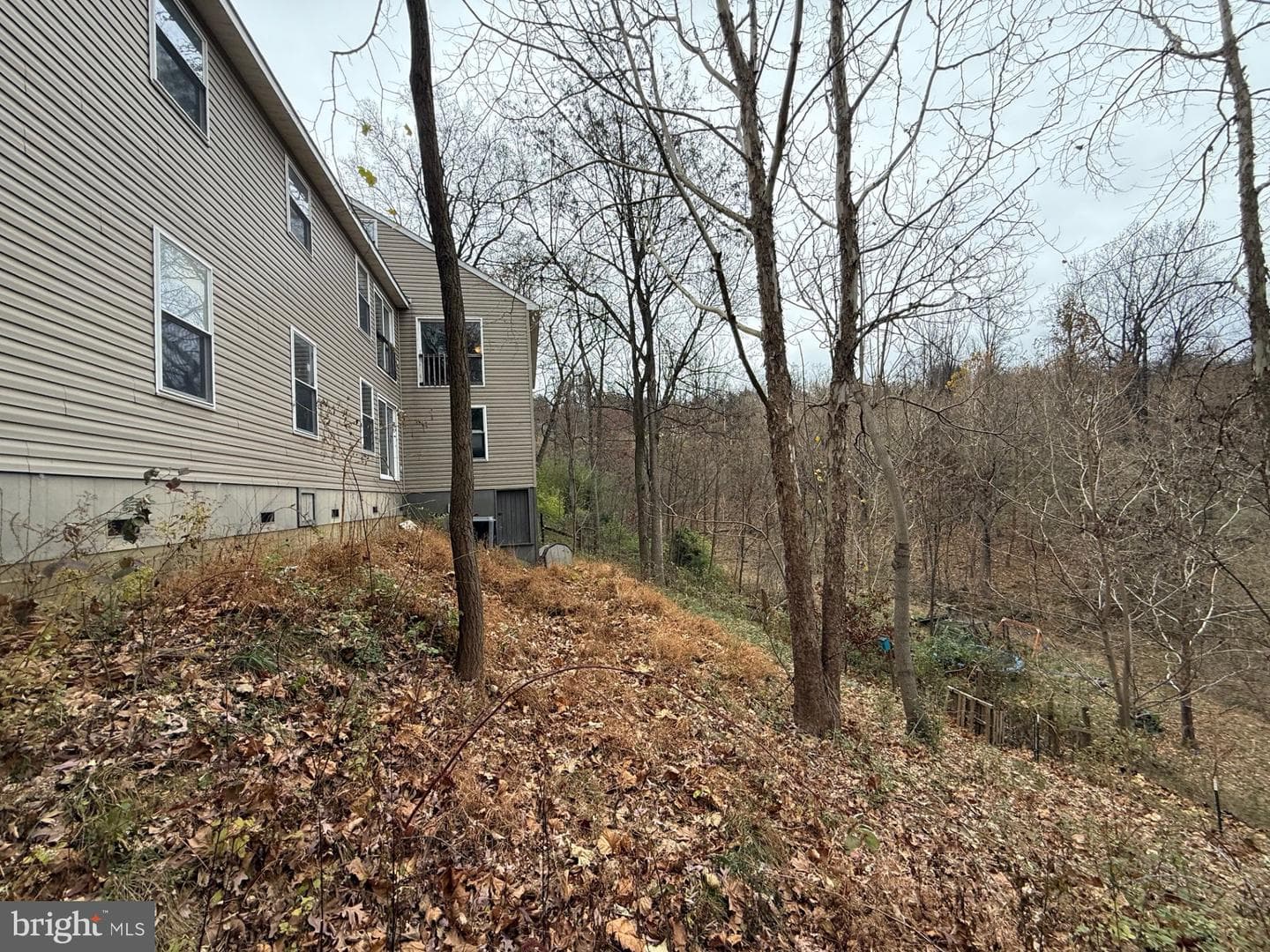 521 Northern Spy Drive photo 28