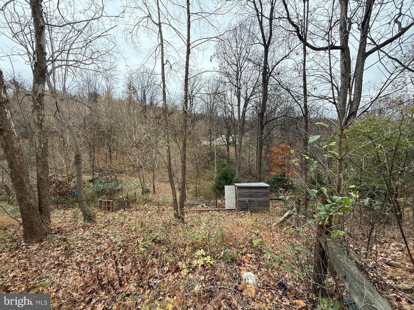 521 Northern Spy Drive photo 29