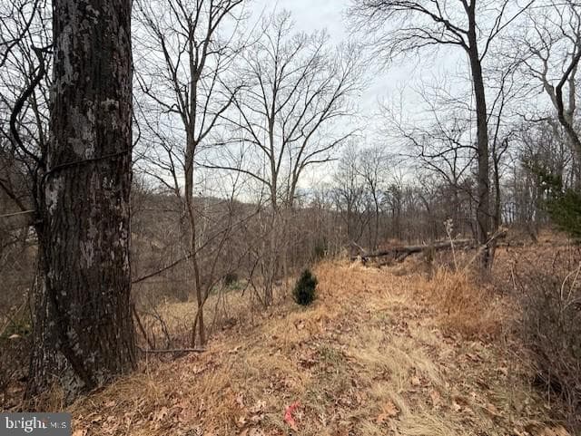 521 Northern Spy Drive photo 32