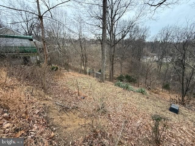 521 Northern Spy Drive photo 33