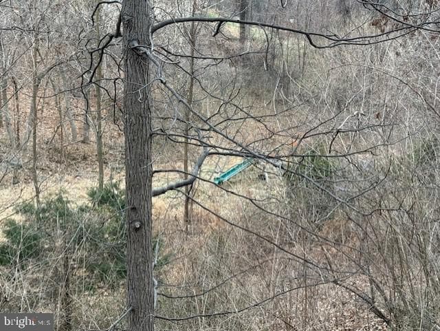 521 Northern Spy Drive photo 35