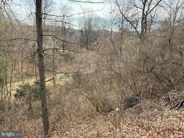 521 Northern Spy Drive photo 36