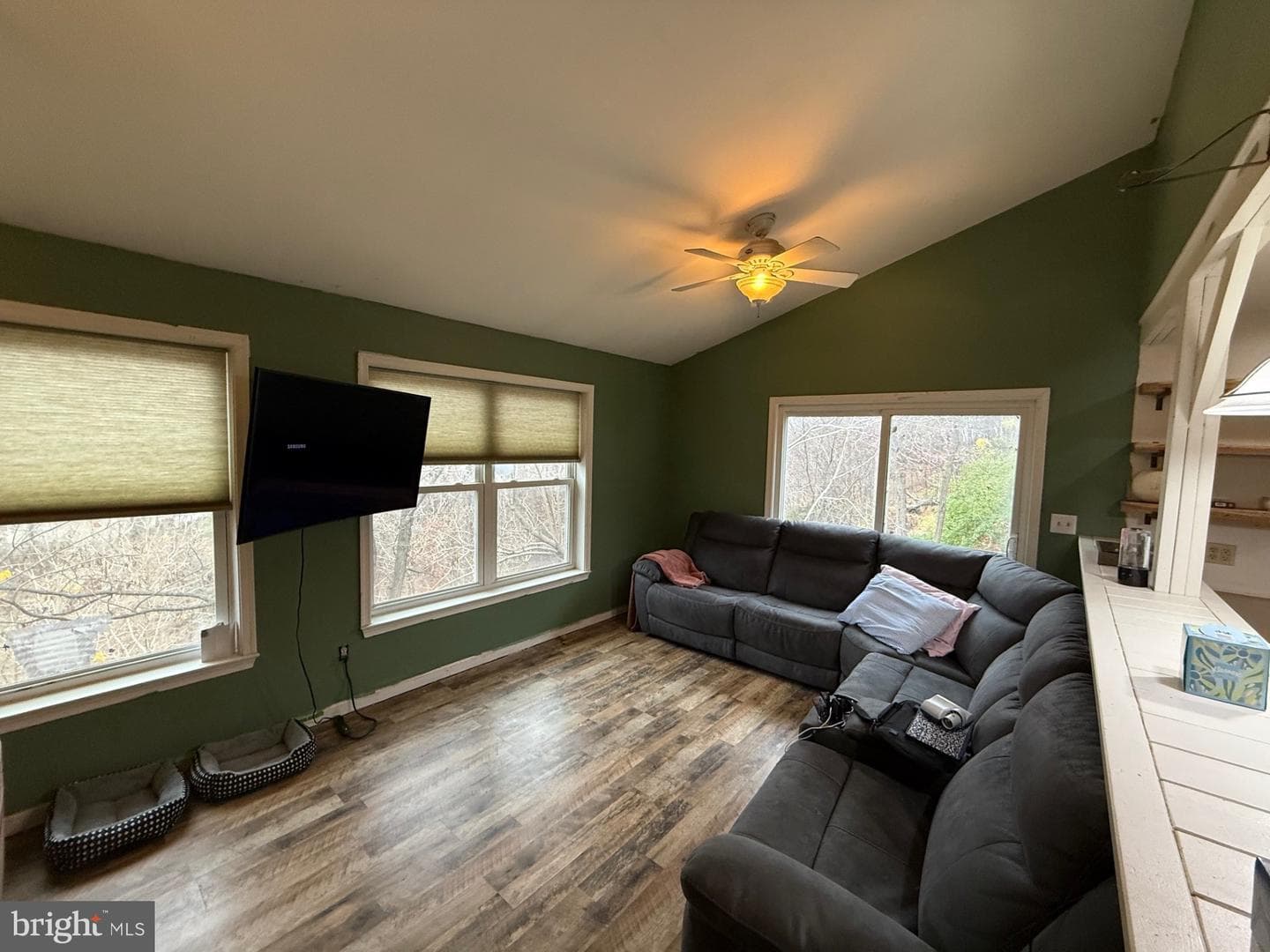 521 Northern Spy Drive photo 8