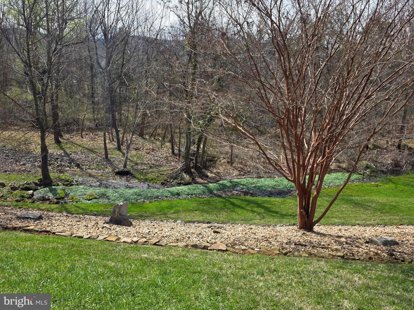 201 Peach Tree Court photo 45