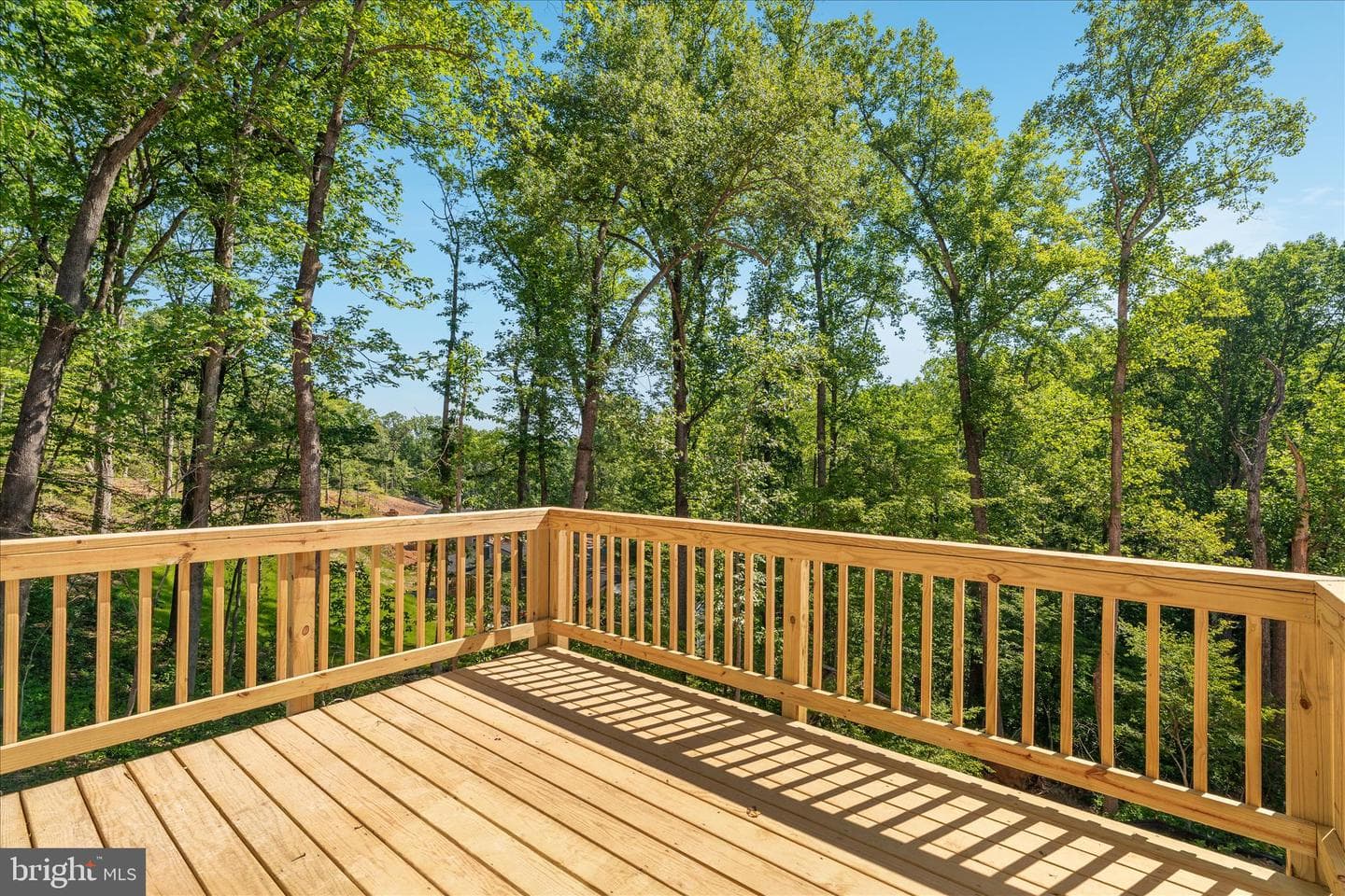 3608 Howellsville Rd Lot 236 photo 65