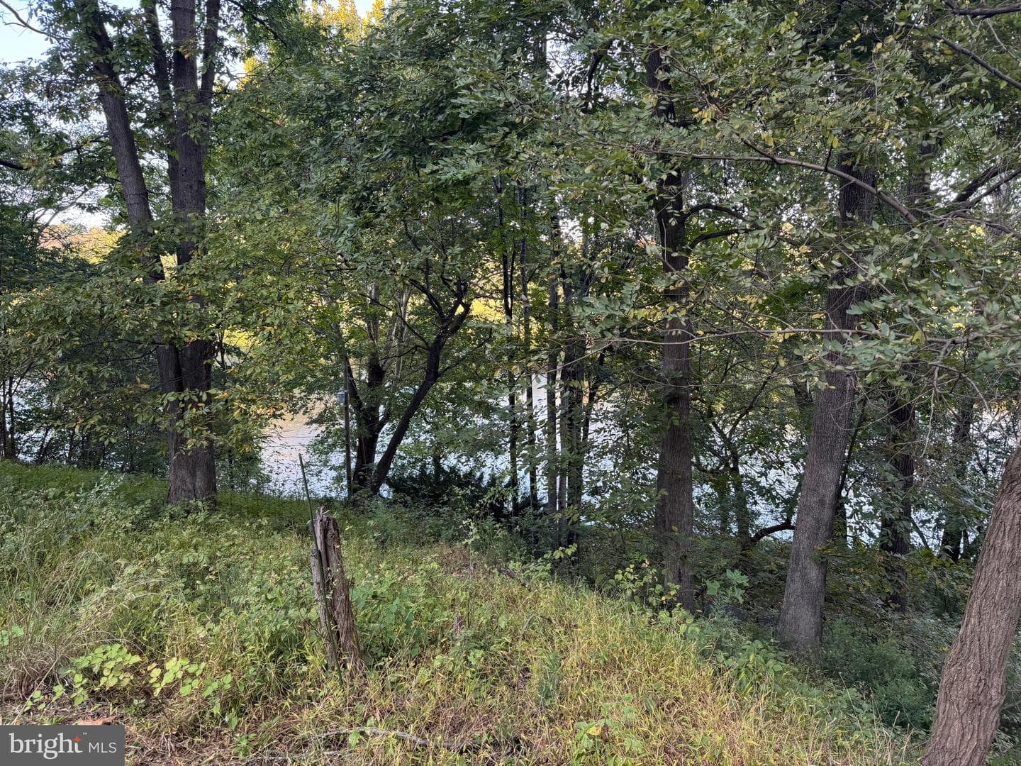 272 Juniper Drive photo 6
