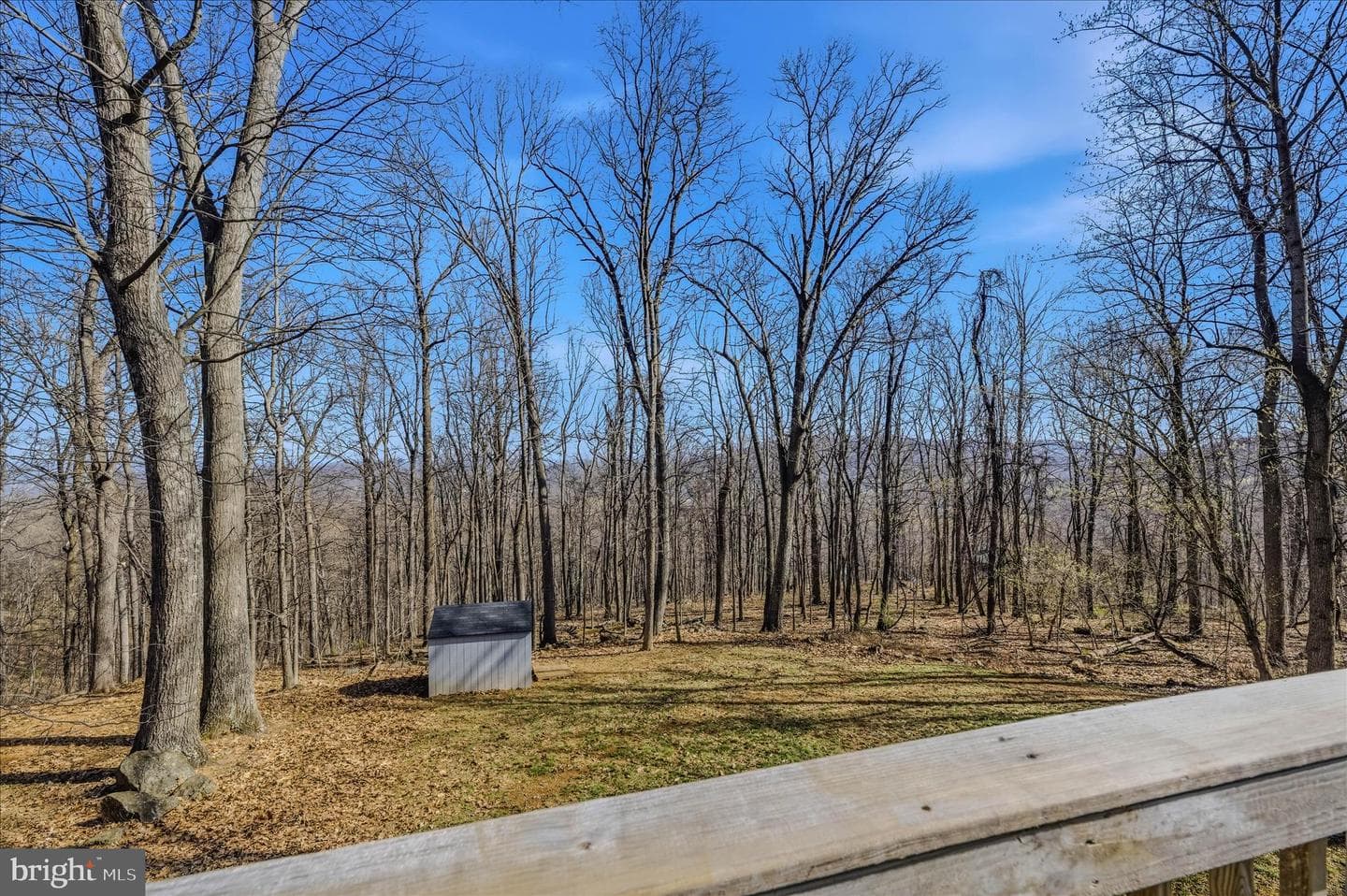 167 Pocahontas Road photo 16